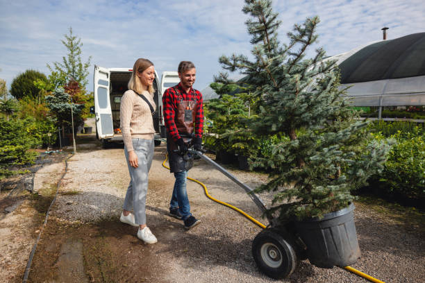 Best Tree Preservation Services  in Rio Rancho, NM
